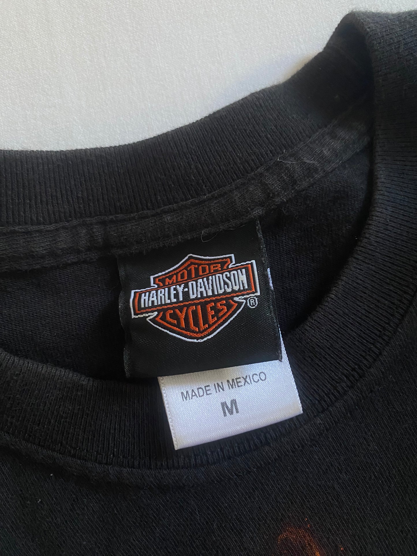2013 Harley Davidson Flames Printed Longsleeve Shirt