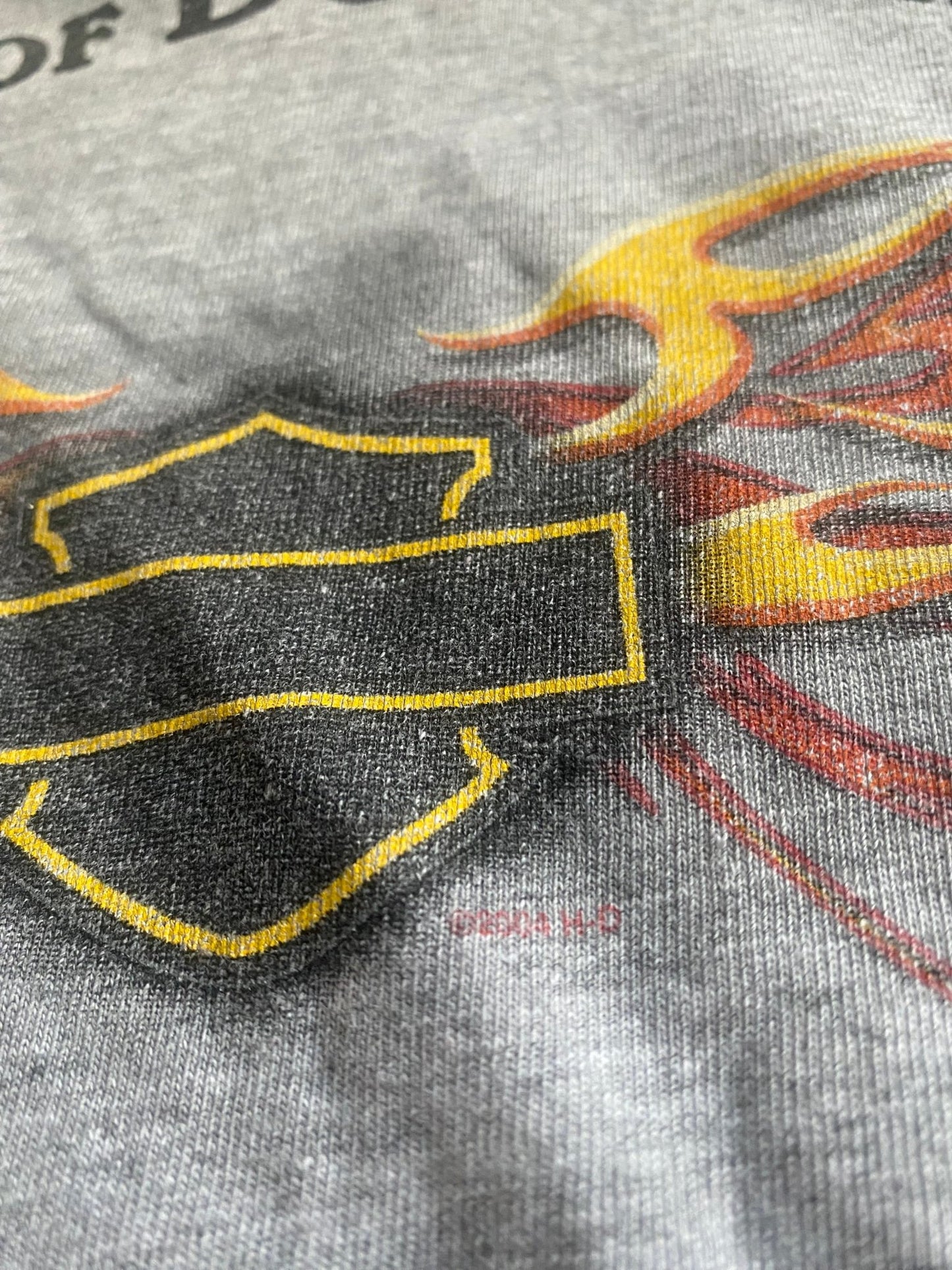 2004 Y2K Harley Davidson Longsleeve Shirt - anbracaminte