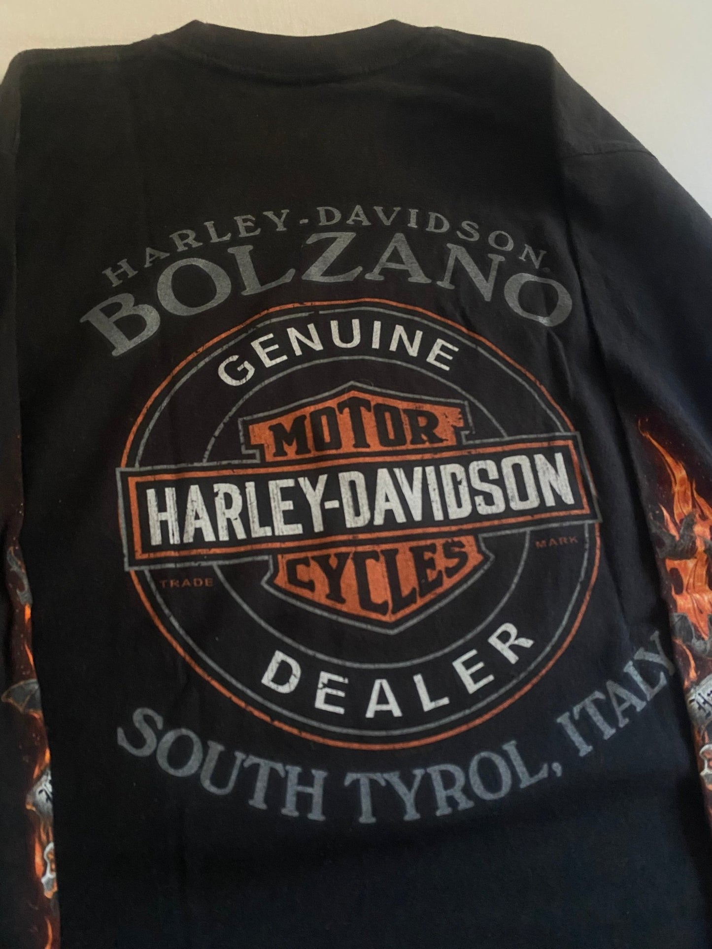 2013 Harley Davidson Flames Printed Longsleeve Shirt - anbracaminte