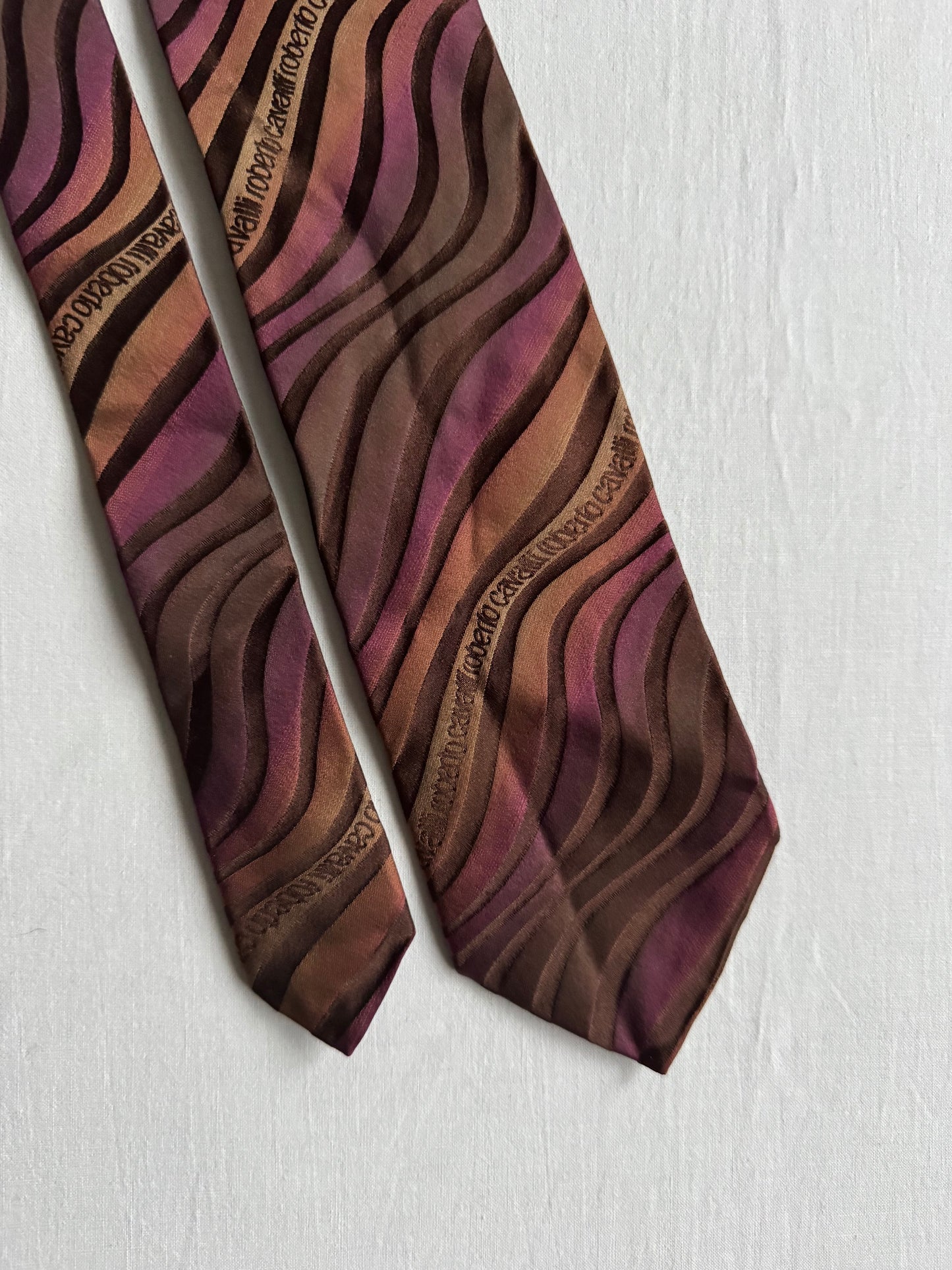 👔 Cravată Vintage Roberto Cavalli din Mătase cu Print Grafic – Made in Italy