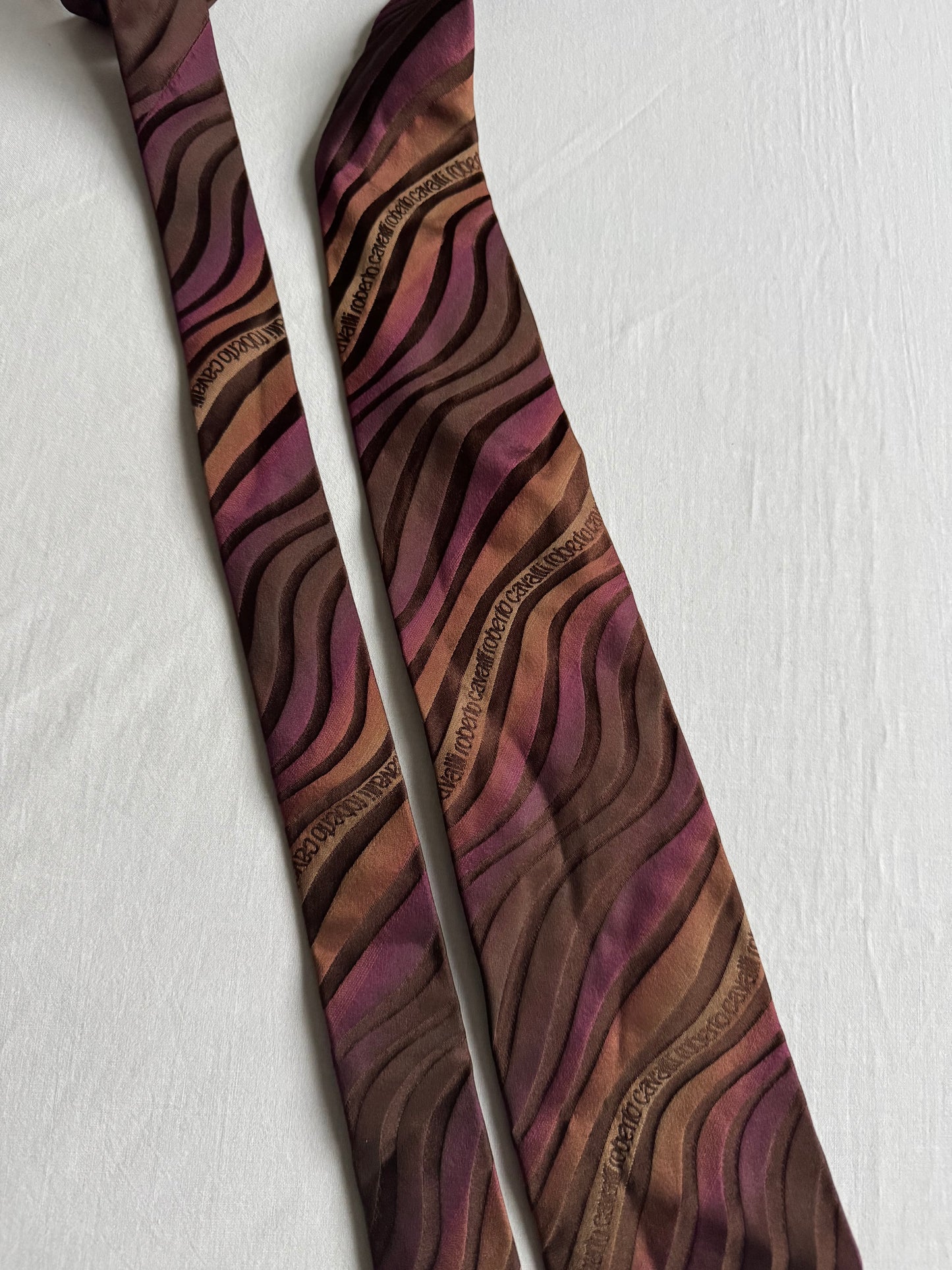 👔 Cravată Vintage Roberto Cavalli din Mătase cu Print Grafic – Made in Italy